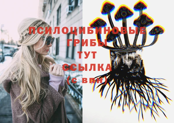 герыч Абинск