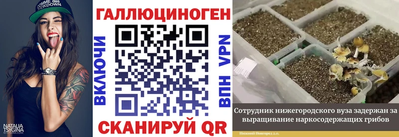 Псилоцибиновые грибы мухоморы  Нальчик 